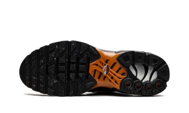 Air Max TN Plus Dark Obsidian Orange 